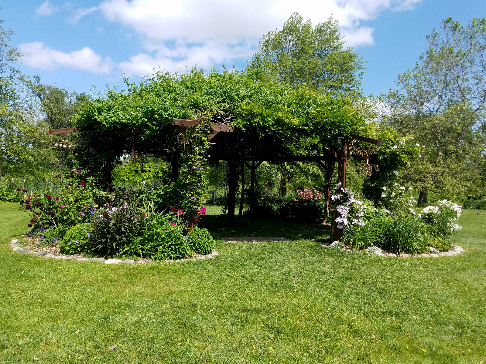 Flowering Gazebo in flower with Clematis, Roses and Geranium